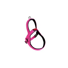 Kong Cc Arnes Noruego Rosa Ch K-N5235