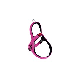Kong Cc Arnes Noruego Rosa M K-N5334