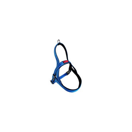 KONG CC Arnes Noruego Azul CH K-N5211