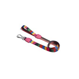 Correa Chroma